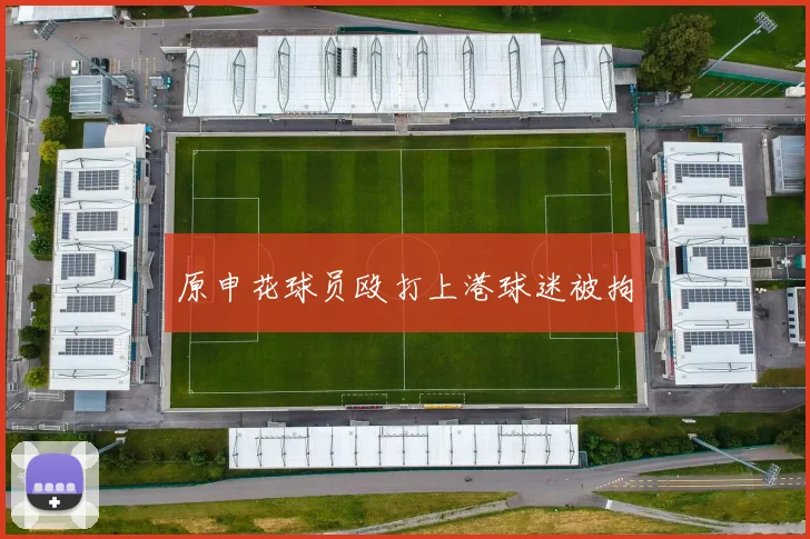 原申花球员殴打上港球迷被拘