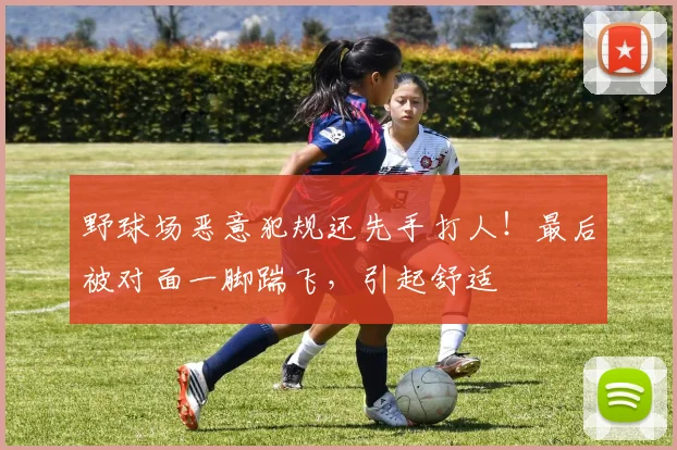 野球场恶意犯规还先手打人！最后被对面一脚踹飞，引起舒适